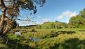 (62) Pastures near Edith